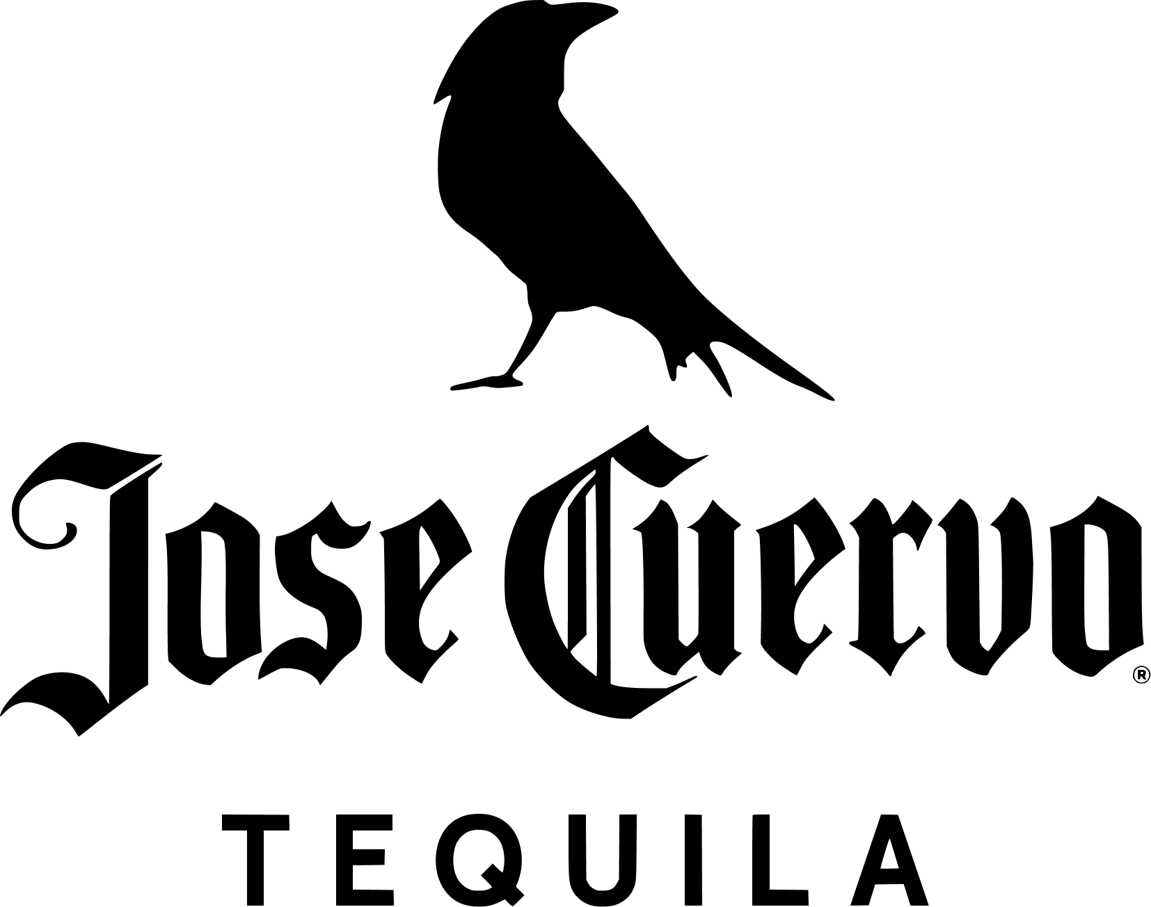 Boundary Logo